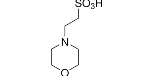 4-مورفولین اتان سولفونیک اسید (MES) چیست؟
