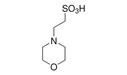 4-مورفولین اتان سولفونیک اسید (MES) چیست؟